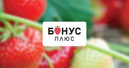Бонус Плюс на карті ПриватБанку Універсальна